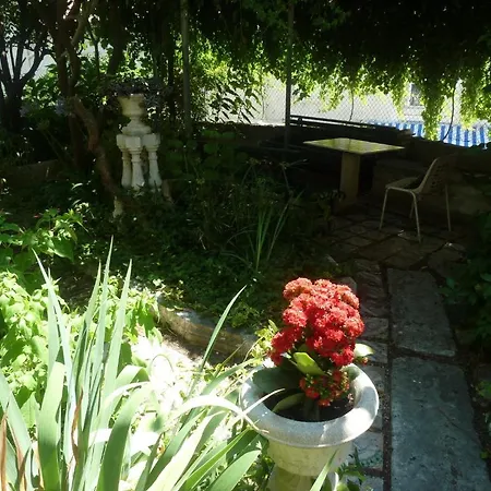 Guest house Ljubo